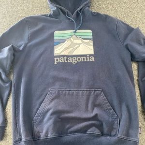 Blue Patagonia Pullover Hoodie